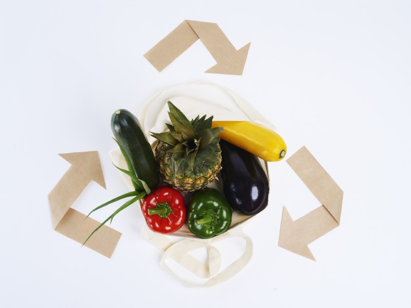 מחזור פסולת מזון, מחזור מזון ישר לביוב ללא פינוי